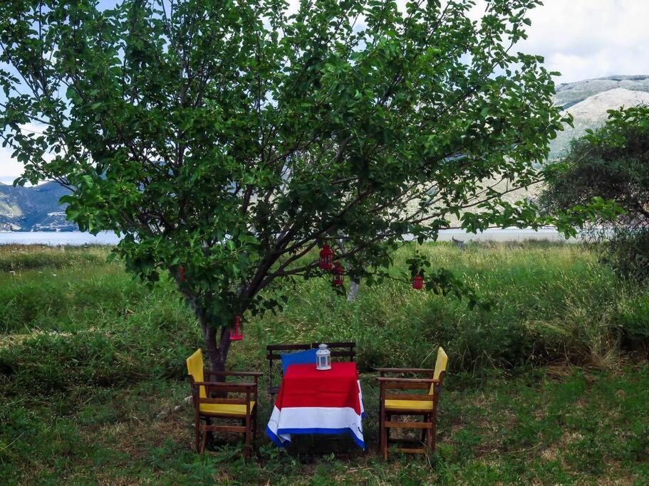 Villa Rania: Ευάερη Βίλα Με Θέα Τη Θάλασσα Ликсури Экстерьер фото