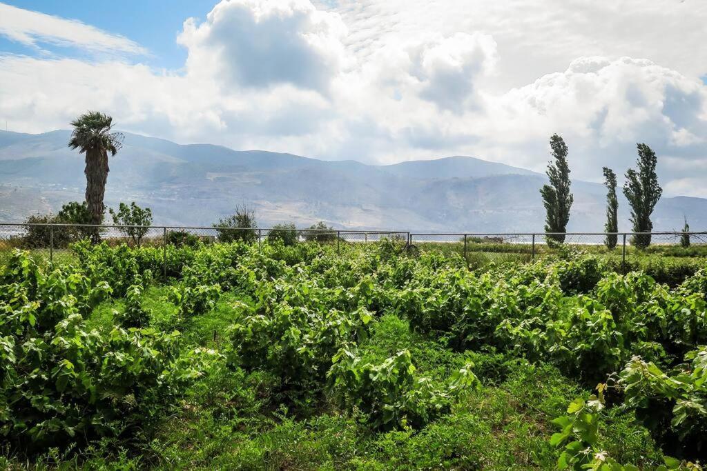 Villa Rania: Ευάερη Βίλα Με Θέα Τη Θάλασσα Ликсури Экстерьер фото